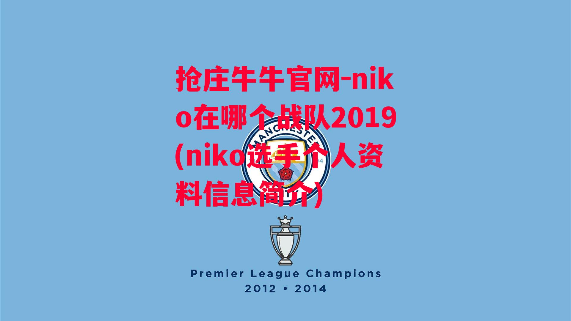 niko在哪个战队2019(niko选手个人资料信息简介)