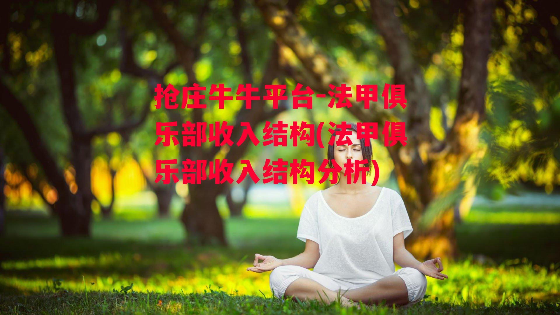 法甲俱乐部收入结构(法甲俱乐部收入结构分析)